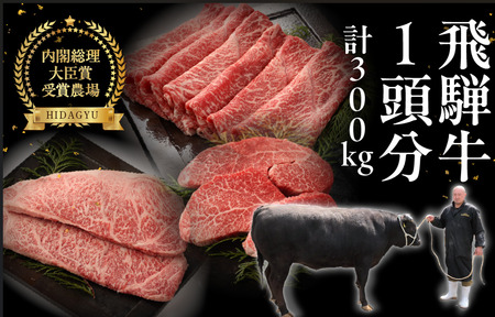 【定期便】飛騨牛一頭分食べつくし（最大 36回）総重量 約300kg 牛肉 ブランド牛 牛 一頭 定期 お肉 肉 肉贈 飛騨萩原畜産【22-C】