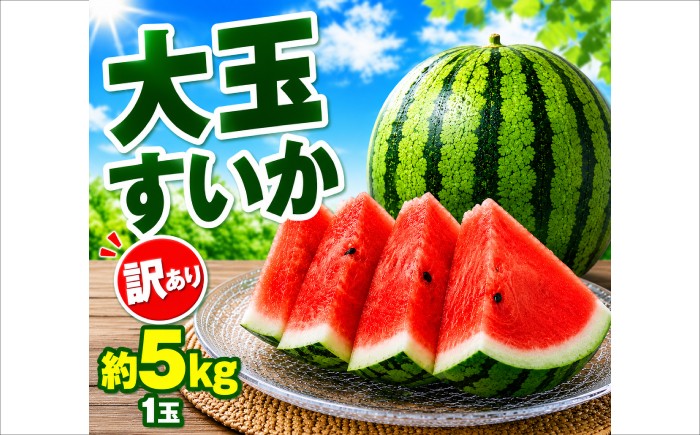 
                  【訳あり】 大玉スイカ 約5kg (1玉) すいか 大玉 フルーツ 果物 山鹿市 【くまふる】 [ZBG093]
                