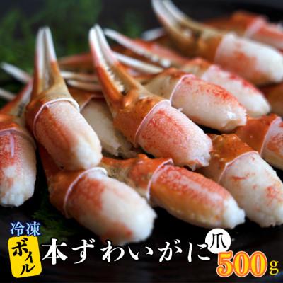 ふるさと納税 大洗町 【ボイル】本ずわいがに爪 500g AF017