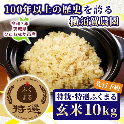【ふるさと納税】【先行予約・9月以降順次発送】令和7年　ひたちなか市産　特栽・特選ふくまる(玄米)10kg×1袋【1641940】