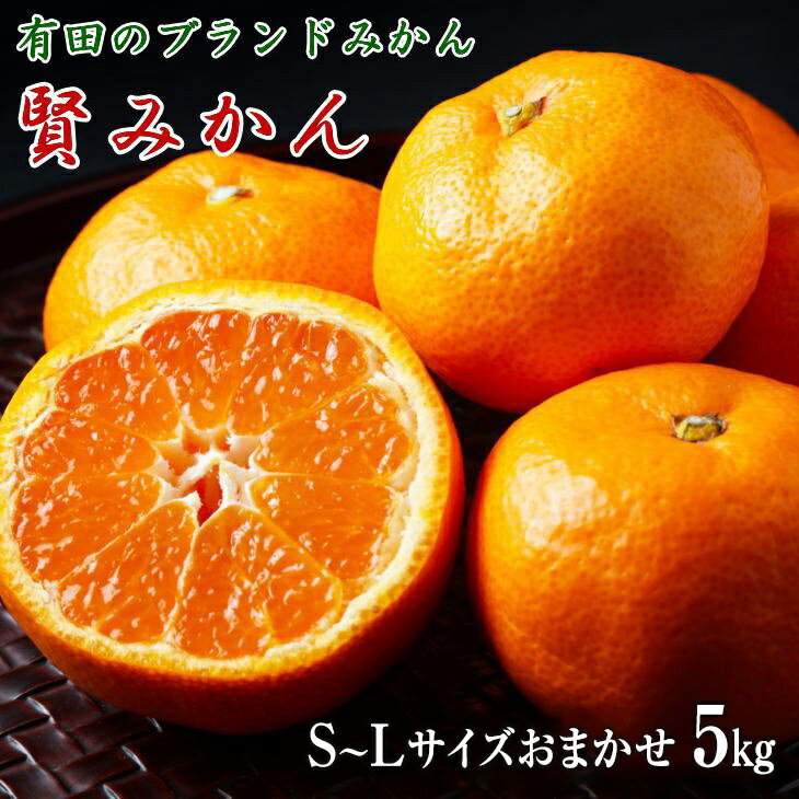 【ふるさと納税】有田ブランド「賢みかん」5kg（S～Lサイズおまかせ・秀品）【数量限定】【ミカン 蜜柑 柑橘 温州みかん 有田みかん】