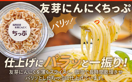 にんにくフレーク にんにくチップ にんにくパウダー にんにく 友芽にんにく 無添加 無着色 ガーリック スライス チップ パウダー 調味料 炒め物 福岡県 福岡 九州 グルメ お取り寄せ メール便（ポ