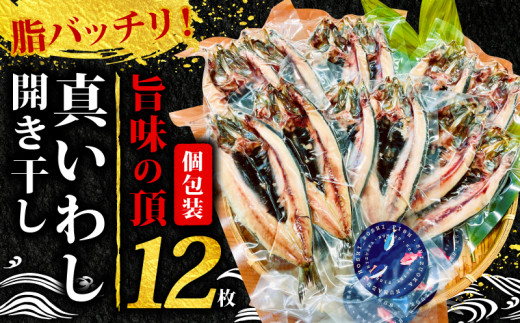 沼津の手作りひもの 間宮水産専務激推し‼ 脂バッチリ！旨味の頂！真 いわし 開き干し 12枚 個包装 干物 イワシ