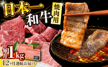 【12回定期便】 A4-A5 長崎和牛 焼肉用牛肉 500g×2 焼肉定期便 焼肉用 和牛焼肉 焼肉 長崎和牛定期便 [DBS040]