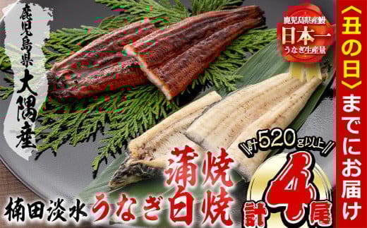 【丑の日までに配送】楠田の極うなぎ蒲焼130g以上×2尾・白焼130g以上×2尾(計520g以上) 山椒付たれ 鰻 ウナギ 蒲焼 白焼き うな重 ひつまぶし 鹿児島 冷凍 おかず お祝い 食べ比べ b3-014-us