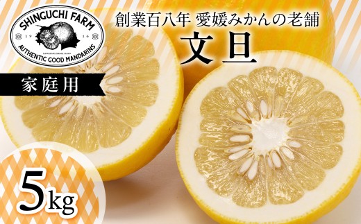＜樹上完熟＞文旦 5kg『弾けるシャキッと食感』＜D70-31＞【1470650】 YWTK031