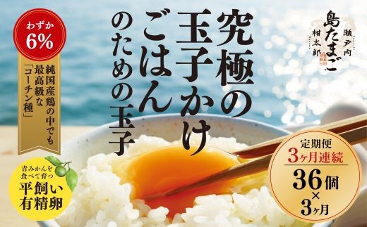 新鮮 卵 定期便【3ヶ月】瀬戸内柑太郎『島たまご』平飼い有精卵 36個(34個＋割れ補償2個)  平飼い 純国産鶏 コーチン種 たまご 佐木島 三原 広島 3回 夏季 017070