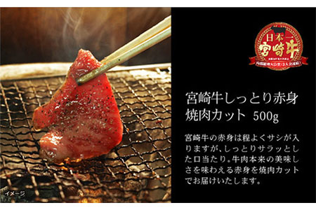 ＜宮崎牛＞しっとり赤身焼肉 500g※90日以内出荷【B217】