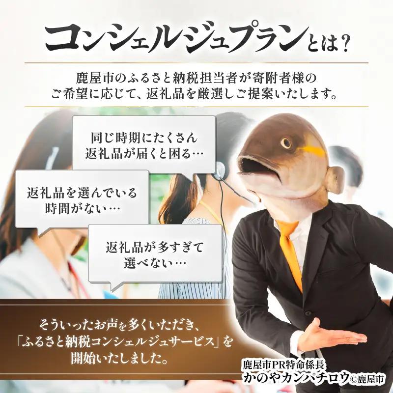 コンシェルジュプラン 寄付額200万円コース KN000-CP200 選べる