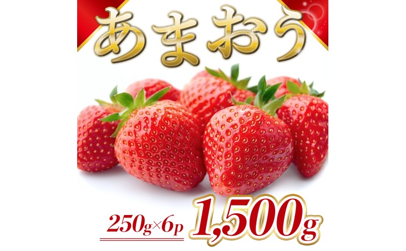 苺 福岡県産 あまおう 1500g（6パック） 先行予約 発送予定：