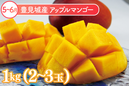 厳選！沖縄フルーツ定期便（年6回）