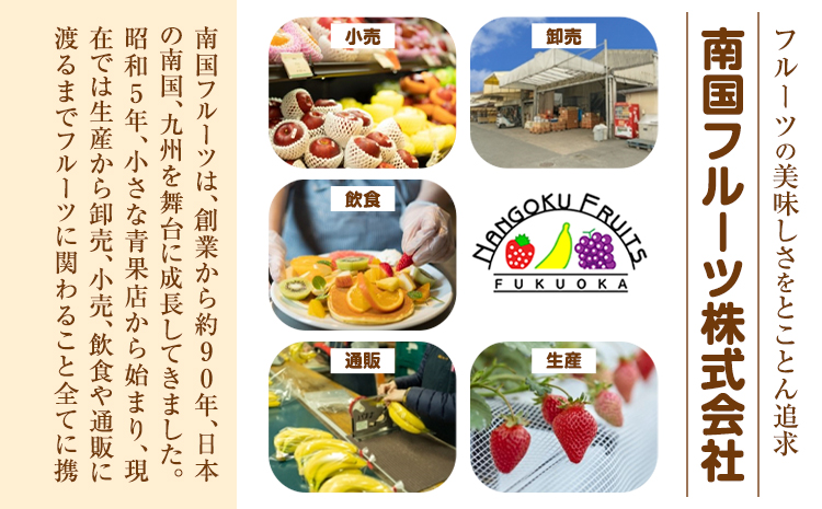 福岡県産 冬あまおう 2パック 南国フルーツ株式会社《12月上旬-1月末頃出荷》福岡県 鞍手町 あまおう いちご イチゴ 送料無料【配送不可地域あり】