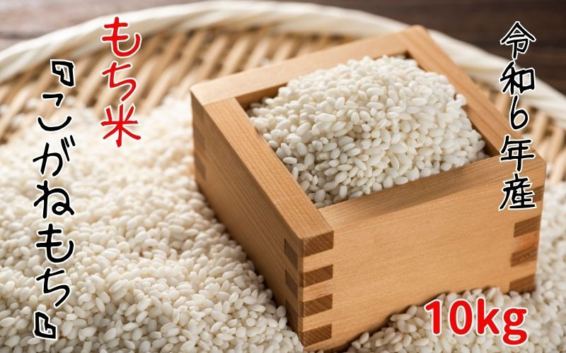 
            【令和6年産】平泉町産 もち米 こがねもち 10kg（10kg×1袋） / お米 こめ もちごめ 令和6年産 産地直送 国産 もち米の王様 年末 お正月 餅つき お餅 お雑煮 ぞうに お赤飯 おはぎ ぼたもち ギフト プレゼント 贈答 お祝い お返し
          