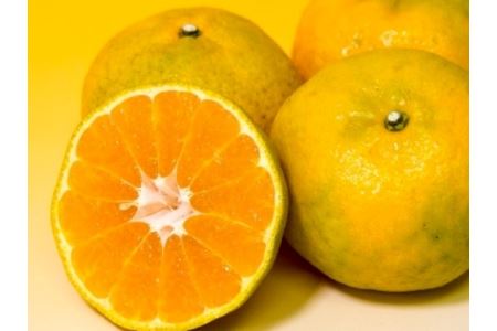 B50-10 はやか5㎏