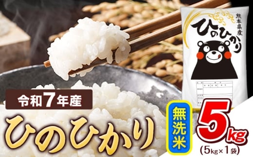令和7年産  無洗米 ひのひかり 5kg 《7-14日以内に出荷予定(土日祝除く)》 熊本県産 ふるさと納税 精米 ひの 米 こめ ふるさとのうぜい ヒノヒカリ コメ お米 おこめ