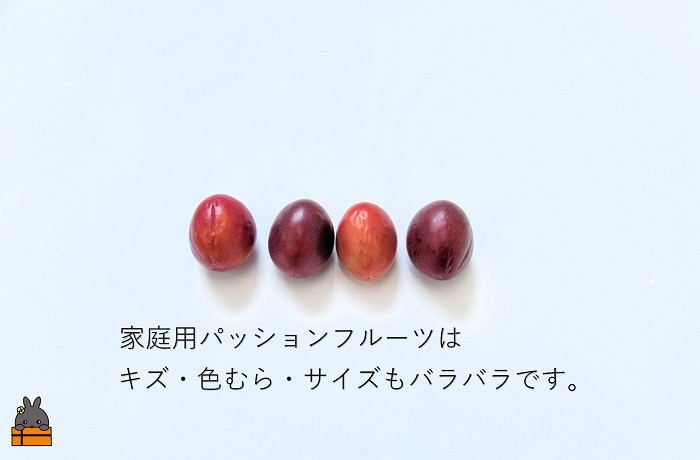 キズや色むら、サイズもバラバラですのでご了承下さい。