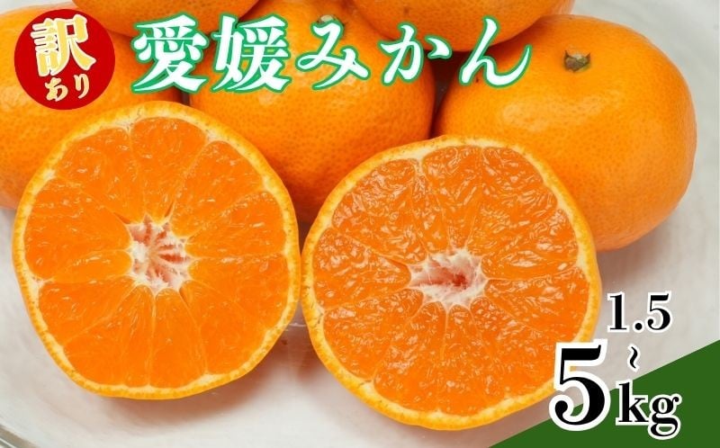 
            訳あり愛媛みかん 1.5kg～5kg 温州みかん みかん 先行予約 柑橘 傷み補償 傷み保証 不揃い みかん ミカン 蜜柑  サイズミックス 規格外   フルーツ 果物 フルーツ果物 先行受付 常温 愛南町 青果市場 愛媛県 
          