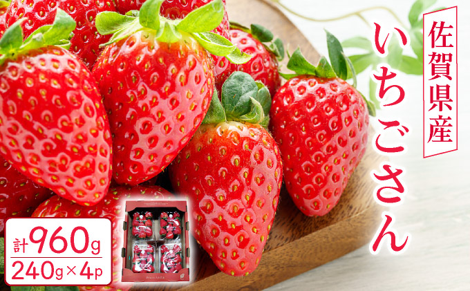 佐賀県産 いちごさん960g(240g×4P)1月～2月発送