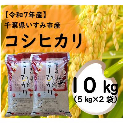 ふるさと納税 いすみ市 【令和7年産米】　千葉県いすみ市産　コシヒカリ精米10kg(5kg×2袋)
