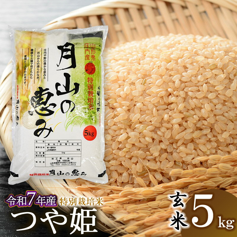 【ふるさと納税】【令和7年産先行予約】特別栽培米 つや姫 玄米 5kg（5kg×1袋）2025年 山形県鶴岡市産　米工房月山 | 返礼品 おこめ お米 つやひめ お取り寄せ ご当地 コメ 単一米