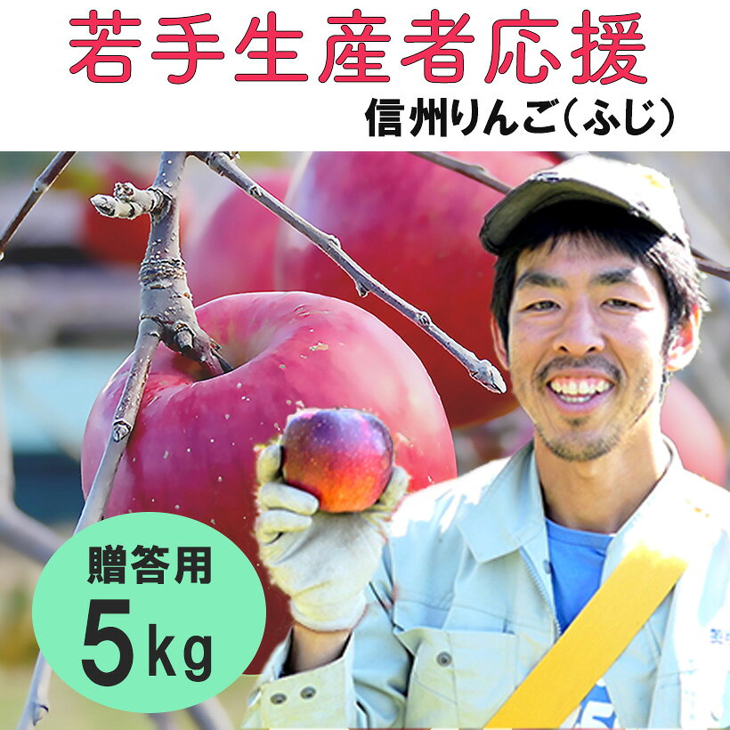 【ふるさと納税】 りんご 5kg 【若手生産者応援】 ふじ サンふじ 川上啓介 贈答用 果物 フルーツ 信州 麻績村 お歳暮