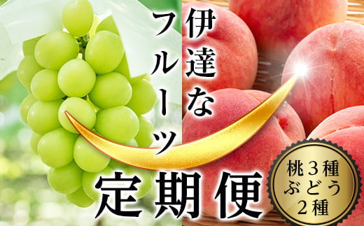 ＜2024年夏から開始の定期便＞伊達なフルーツ定期便（もも3種×2kg・ぶどう2種）果物 フルーツ 桃 モモ 葡萄 ブドウ 福島県 伊達市  果物 くだもの 果実 セット 詰め合わせ 詰合せ 食品 F20C-474