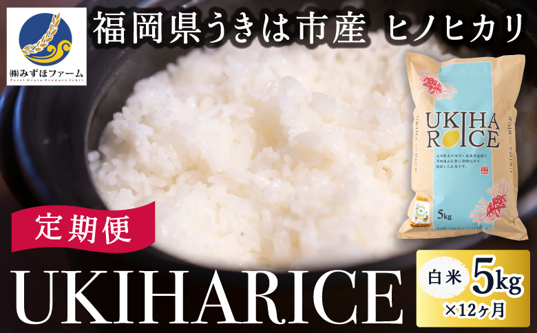 【12ヶ月定期便】みずほファーム UKIHA RICE (白米5kg×12ヶ月)  【2025年11月より順次発送予定】 米 ヒノヒカリ お米 ご飯 うきは市
