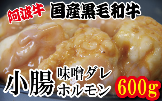 ホルモン 小腸 阿波牛 200g×3パック 計600g 冷凍 小分け 味噌 タレ 味噌ダレ 味噌漬け 焼肉 国産 牛 肉 黒毛和牛 和牛 BBQ バーベキュー 脂 ホソ もつ 牛肉 焼き やきにく ビール 酒 米 ご飯 と一緒に おつまみ おすすめ 徳島県 小松島市