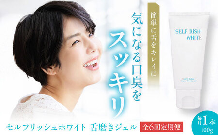 歯磨き粉【全6回定期便】舌磨きジェル ミントフレーバー風味 1本(100g) 歯磨き粉[AGCQ017]