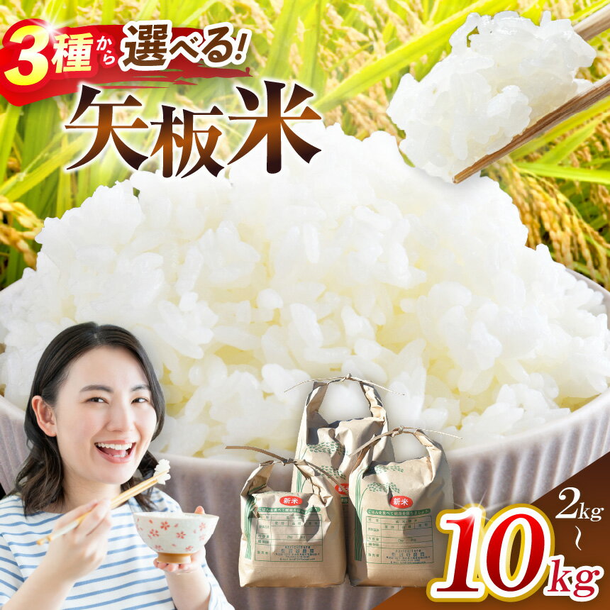 【ふるさと納税】選べる 限定 大人気 こしひかり とちぎの星 ミルキークイーン きぬはなもち 2kg 3kg 5kg 10kg | 先行予約 お米 米 こめ 白米 産地直送 美味しい おいしい お弁当 リピート リピ 農家直送 栃木県産 矢板市産 栃木県 矢板市 備蓄 米