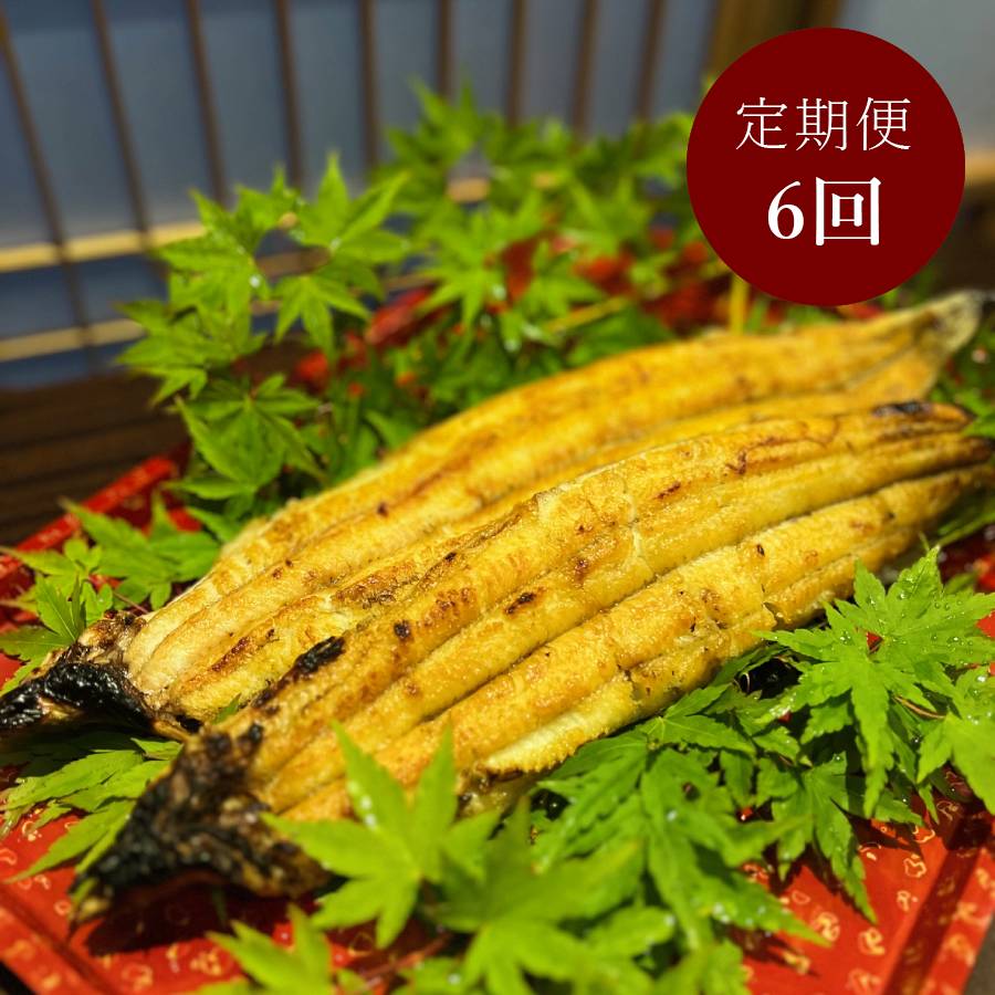 ＜うなぎ割烹　みかわ三水亭＞三河産鰻 炭火手焼き「白焼き」2尾【6ヵ月定期便】・M131