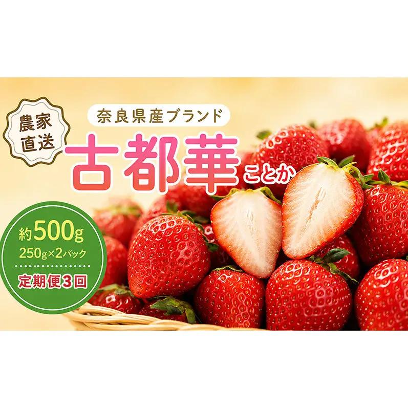 いちご 3回定期 古都華 約500g 250g×2パック 先行予約 高評価 冷蔵配送 フルーツ 果物 旬 産地直送 農家直送 完熟 旬の果物 お取り寄せ おやつ デザート ことか イチゴ 冷蔵 奈良県産 奈良 大和郡山市 BN001