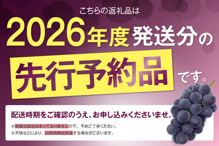 【先行予約】【2026年8月発送】東浦町産 ぶどうMIX・約3kg（2kg＋1kg！）【みっちゃんぶどう園】