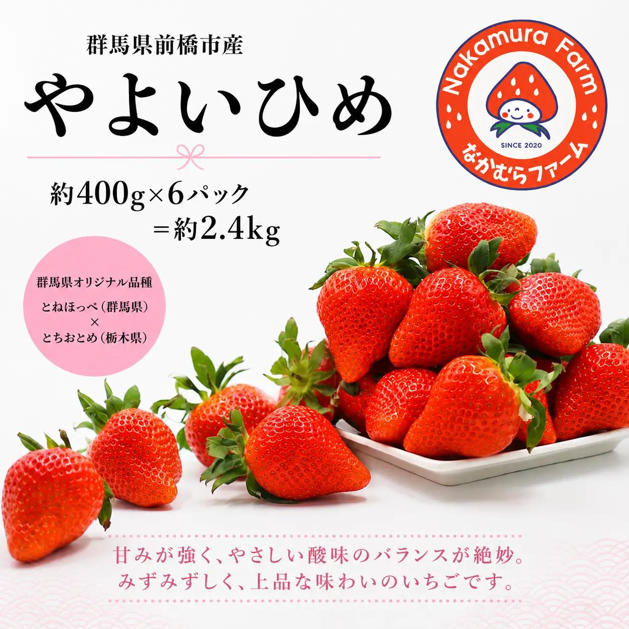 いちご 『やよいひめ』 約2.4㎏ いちご品評会入賞