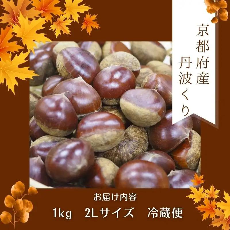 【先行予約 数量限定】2026年度産 丹波くり 2Lサイズ 1kg 和栗 丹波栗