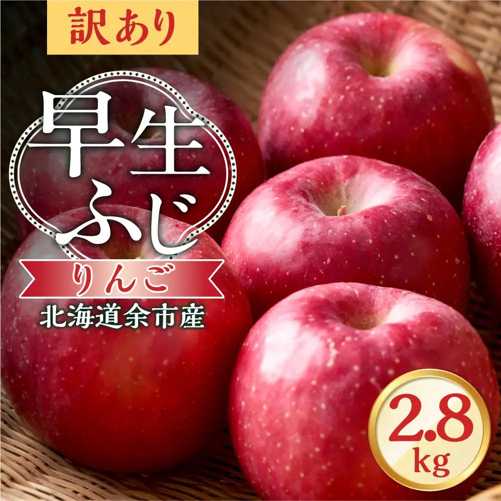【先行予約：2026年10月中旬より発送】訳アリ りんご（早生ふじ）2.8kg【北海道余市町産】_Y103-0091