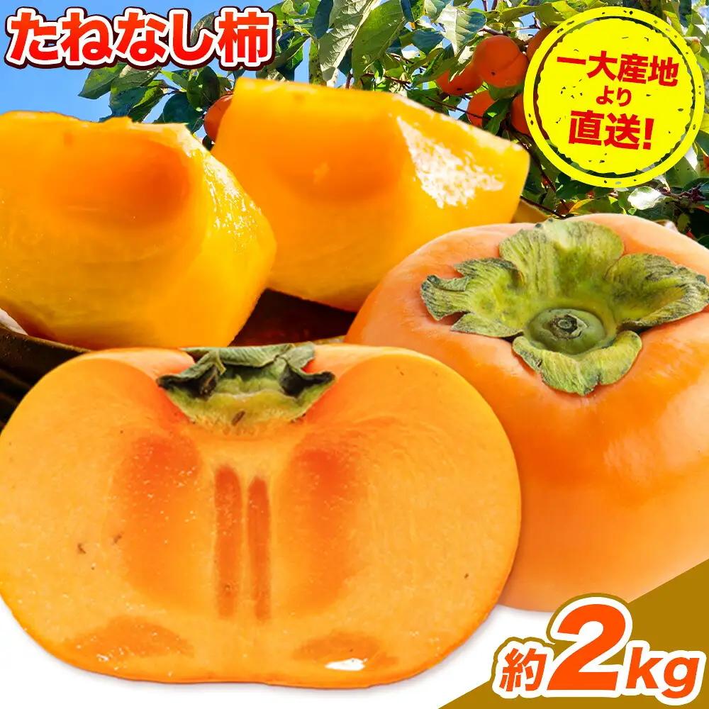 柿 たねなし柿 約2kg