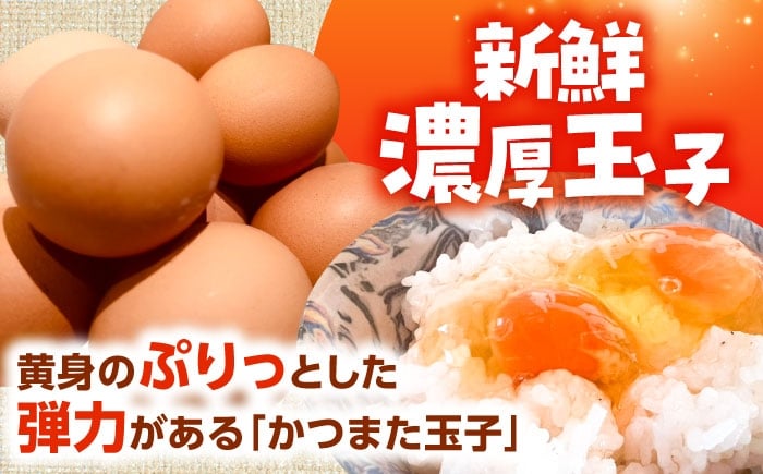 家庭用 たまご タマゴ 玉子 卵 生卵 鶏卵 新鮮 濃厚 採れたて 生みたて 産みたて 卵料理 卵焼き 玉子焼き オムレツ 人気