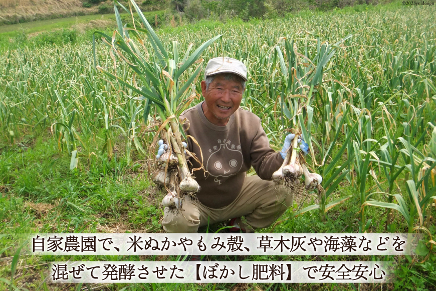 【期間限定発送】 にんにく 国産 500g [甲斐自然派農園 宮崎県 日向市 452060132] ふるさと納税 ニンニク 栽培期間中 無農薬 農薬不使用 化学肥料不使用 日向市産