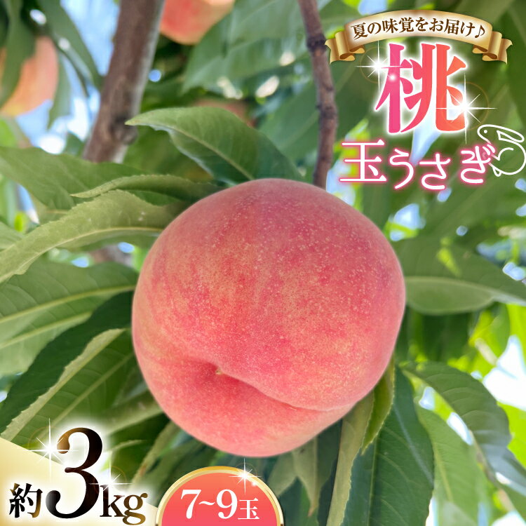 【ふるさと納税】 【期間限定発送】 桃 玉うさぎ 3kg (7〜9玉) [東城農園 山形県 高畠町 tk06ayt370002] もも モモ 果物 くだもの フルーツ 冷蔵