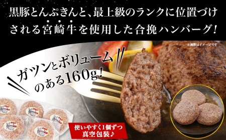 溢れる肉汁☆黒豚とんぷきんと宮崎牛の合挽ハンバーグ5個＆黒豚とんぷきんメンチカツ6個セット_AA-5903_(都城市) 合挽ハンバーグ メンチカツ 都城産黒豚とんぷきん 都城産宮崎牛 秋特集