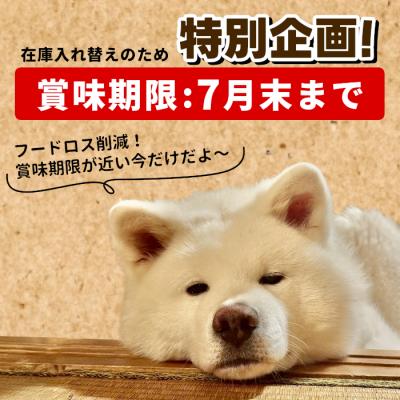 ふるさと納税 設楽町 特別企画!天然素材100% 国産 鹿 あばら小 100g犬 猫 ペットフード ペット おやつ 骨 |  | 01