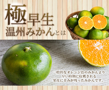 【9月15日までの受付】 訳あり みかん 極早生温州みかん 約4kg＋傷み保証分200g 2S～3Lサイズおまかせ 【2026年9月下旬から10月中旬までに順次発送予定】 / 家庭用 ご家庭用 訳アリ