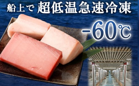 厳選 天然 マグロ ２種 セット【 メバチ 鮪 ビンチョウ 鮪 】６５０ｇ以上 （ まぐろ 食べ比べ めばちまぐろ びんちょうまぐろ 海鮮 丼 刺身 高知 室戸 ) _ge001