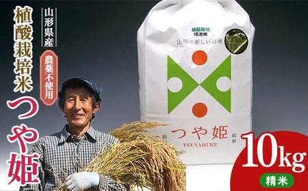 植酸栽培米つや姫（農薬：栽培期間中不使用）（精米）10kg F2Y-4412