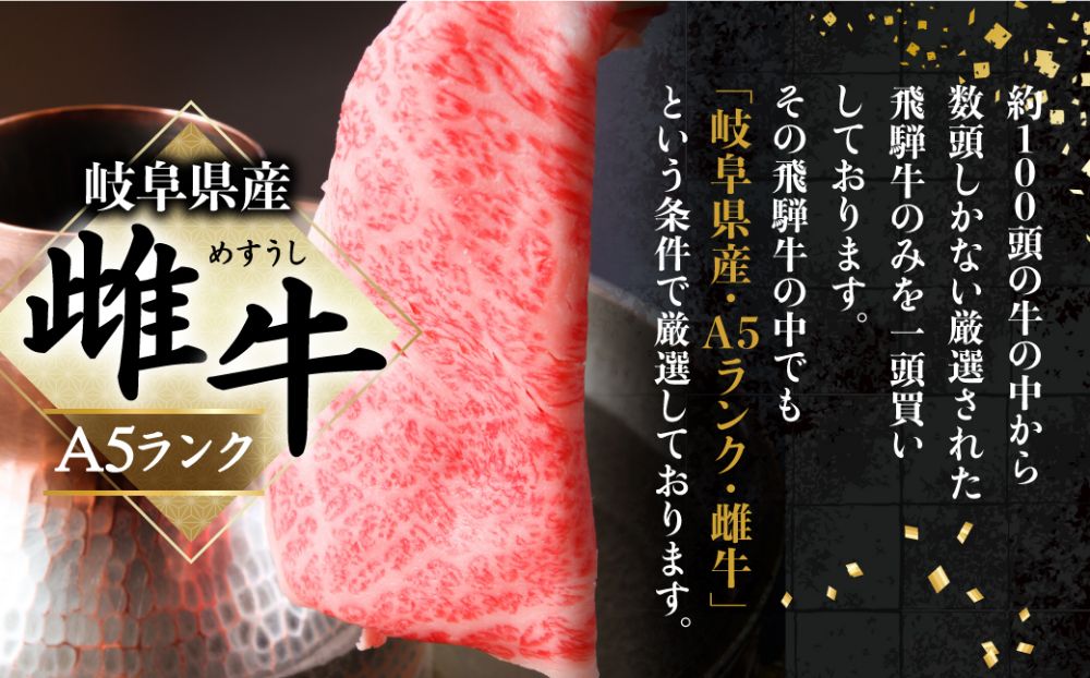 A5等級 飛騨牛 希少部位 焼肉セット 250g 5種食べ比べ ( ヒレ / ロース / もも など ) | A5 肉 焼肉 和牛 ブランド牛 牛肉 黒毛和牛 食べ比べ 盛り合わせ 贈答 飛騨高山 天