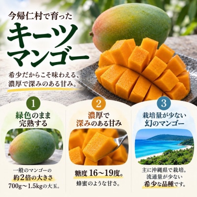 【2027年8月下旬から順次発送】仲本マンゴー園の幻のキーツマンゴー800g(1～2玉)【配送不可地域：離島】