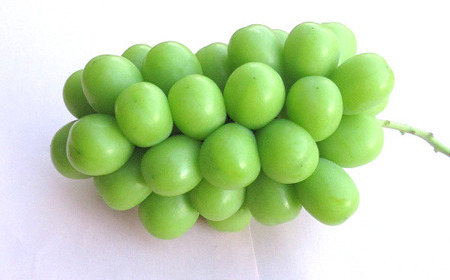 【令和7年産先行予約】 クリスマス シャインマスカット 750g以上 (1房 秀) 《令和7年12月19日～発送》 『フナヤマ農園』 山形県 南陽市 [1112]