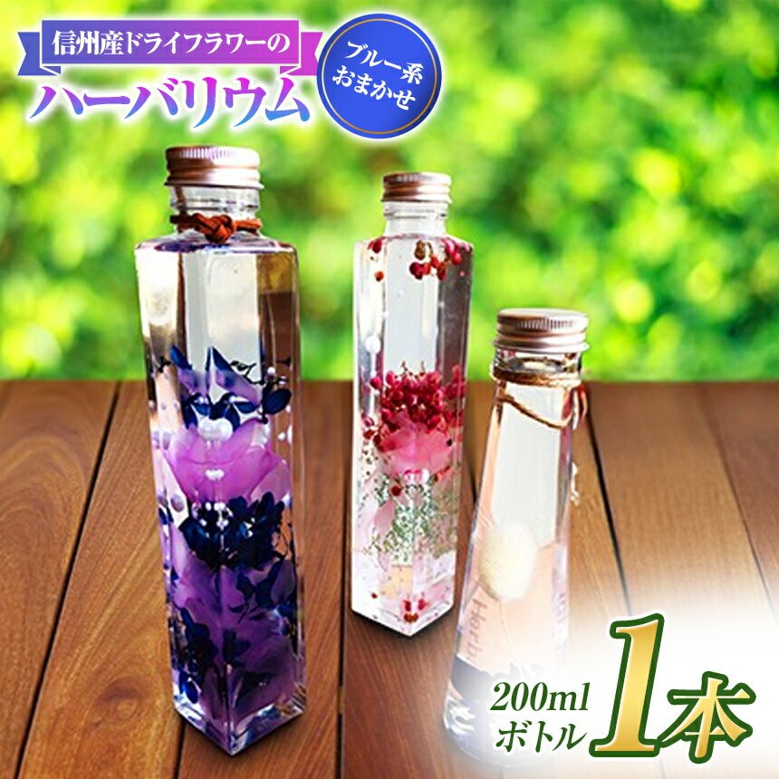 【ふるさと納税】【アルル】 信州産 ドライフラワー の ハーバリウム 1本 ブルー系 おまかせ | ドライフラワー ハーバリウム ブルー 青 花 信州 八ヶ岳 長野県 諏訪郡 原村