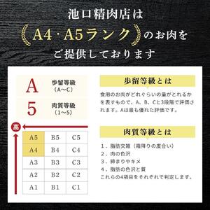 (0924新規)池口精肉店の人気3種セット(ミンチカツ5個、コロッケ5個、ハンバーグ2個)【詰合せ セット おかず おつまみ ごはんのお供 広島県 福山市】